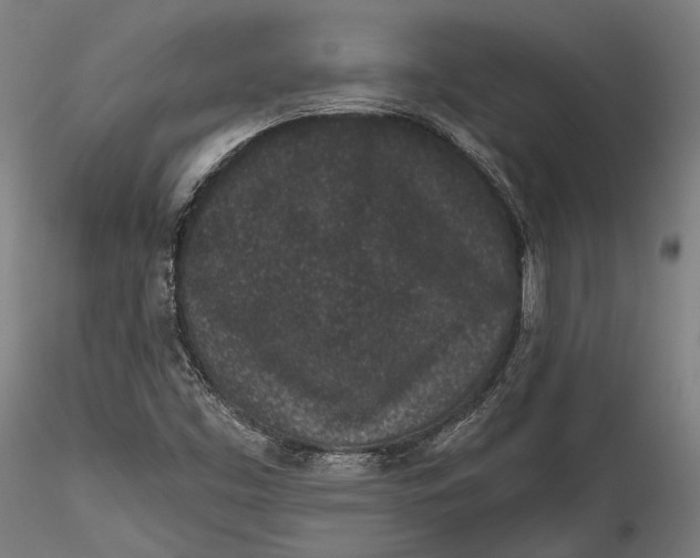 X0000115531453200911271335