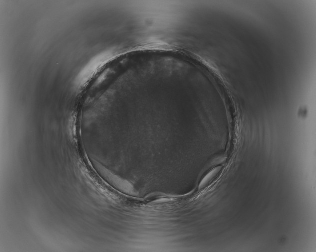 X0000115531455200911271335