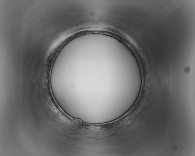 X0000115531456200911271335