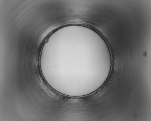 X0000115531458200911271334