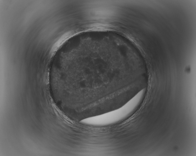 X0000115531459200911271334