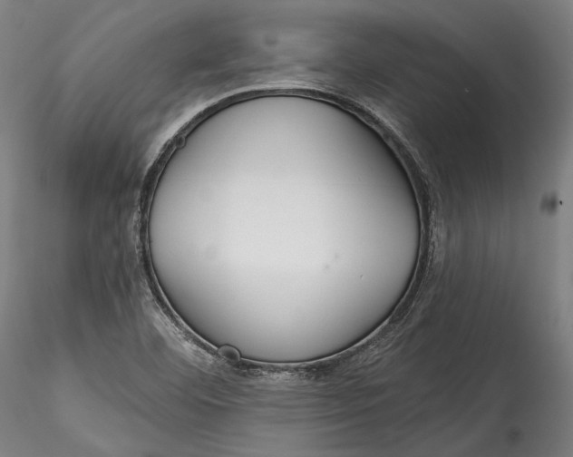 X0000115531460200911271334