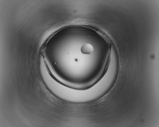 X0000115531461200911271334