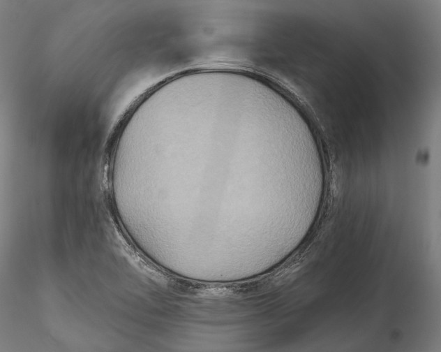 X0000115531462200911271334