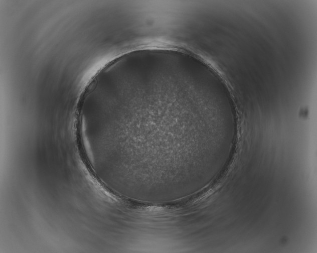 X0000115531463200911271334