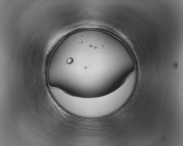 X0000115531464200911271334