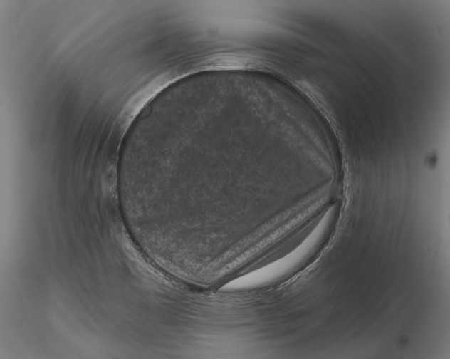 X0000115531465200911271334