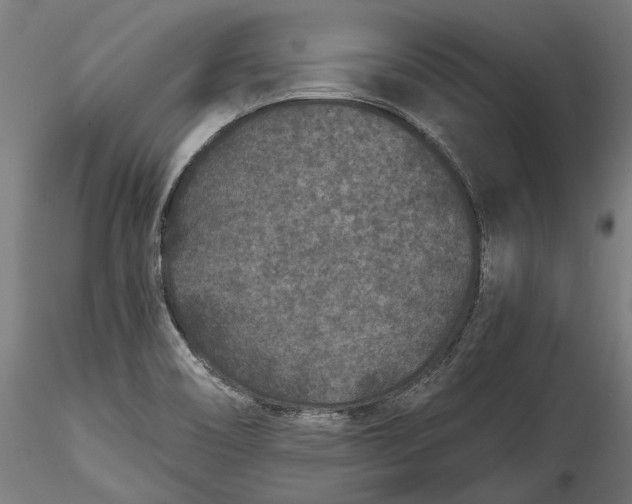 X0000115531466200911271334