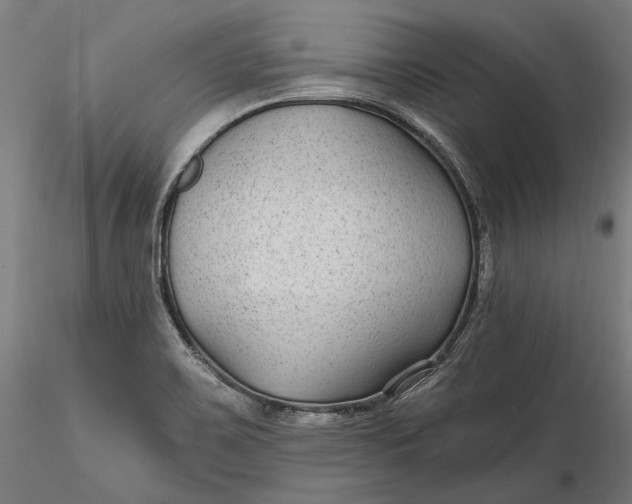 X0000115531467200911271334