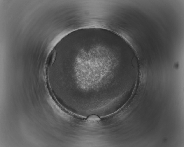 X0000115531468200911271334