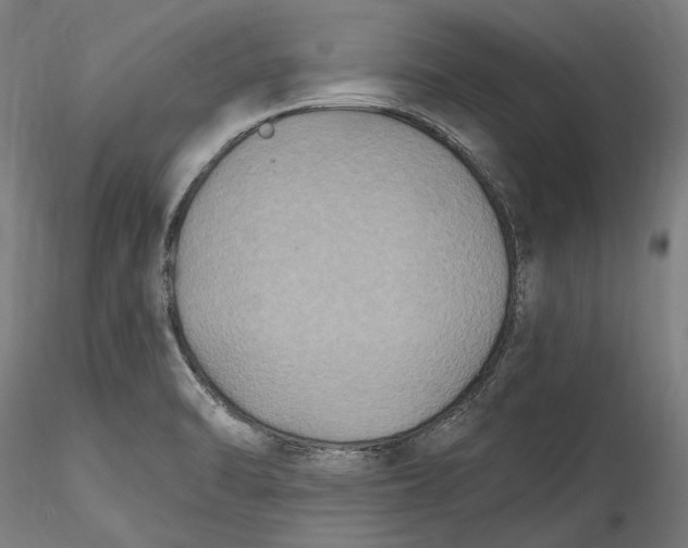 X0000115531470200911271334