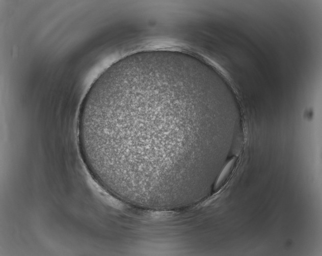 X0000115531471200911271334