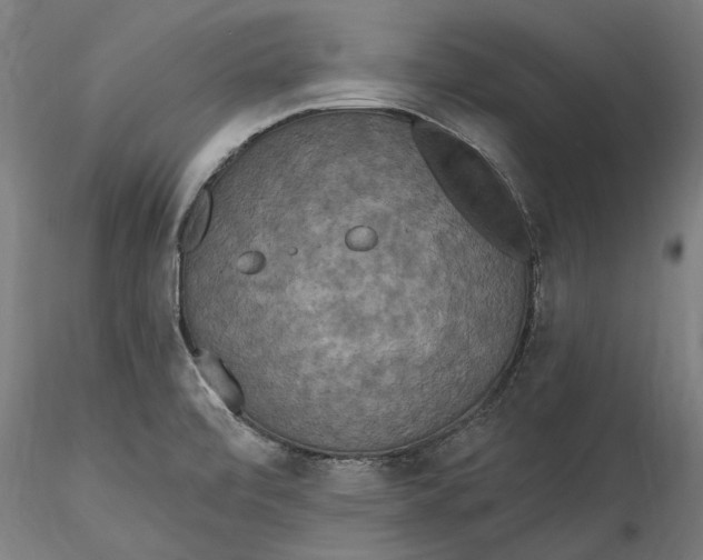 X0000115531472200911271334