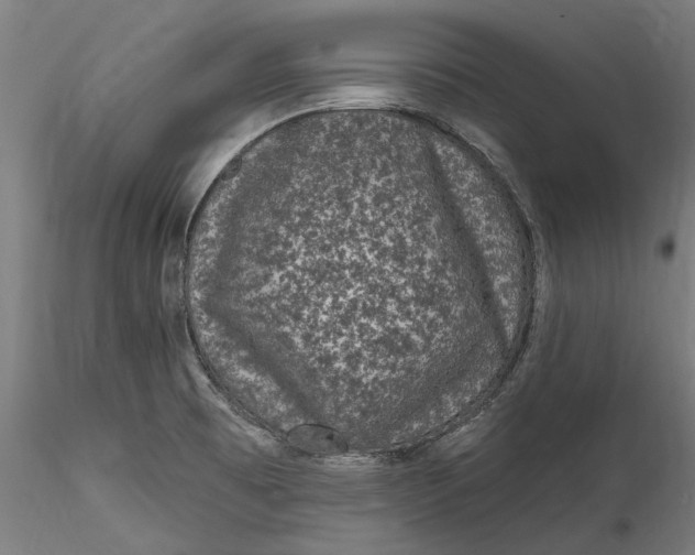 X0000115531473200911271334