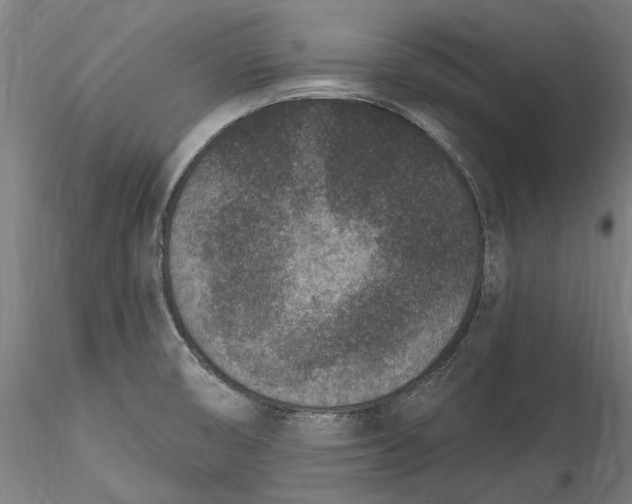 X0000115531474200911271334