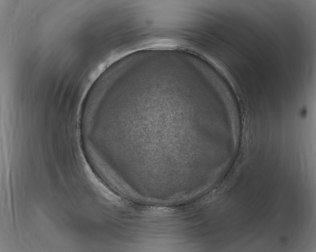 X0000115531475200911271334