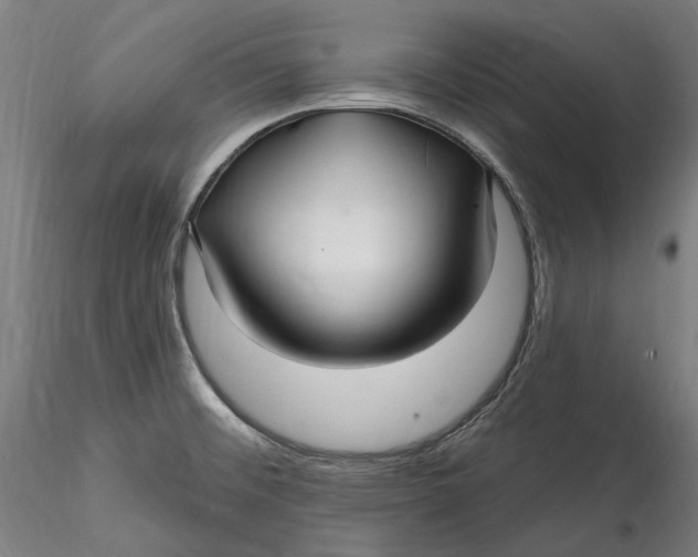 X0000115531476200911271334