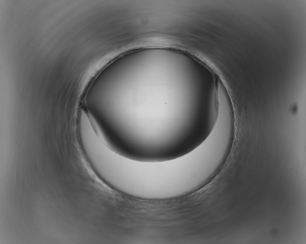 X0000115531477200911271334