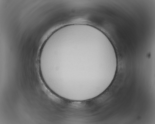 X0000115531478200911271334