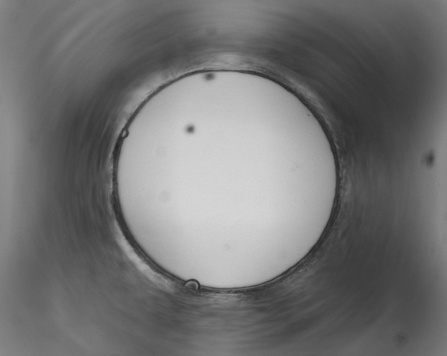 X0000115531479200911271334