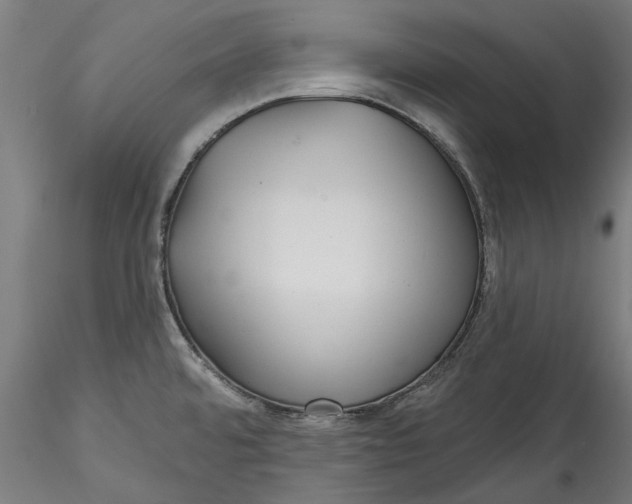 X0000115531480200911271334