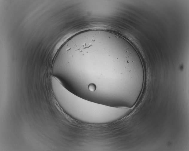 X0000115531481200911271334