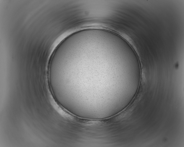 X0000115531482200911271334