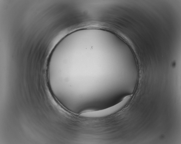 X0000115531483200911271334