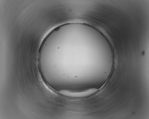 X0000115531484200911271334