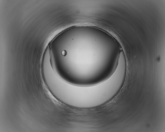 X0000115531485200911271334