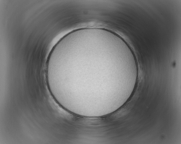 X0000115531486200911271334