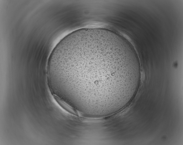 X0000115531487200911271334