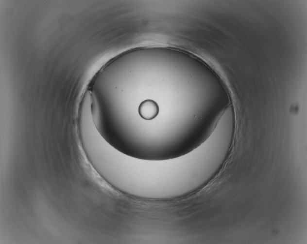 X0000115531488200911271334