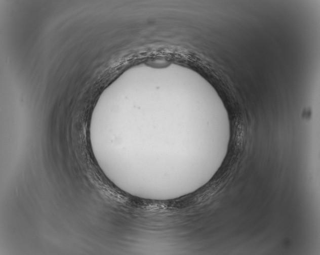 X0000115531489200911271333