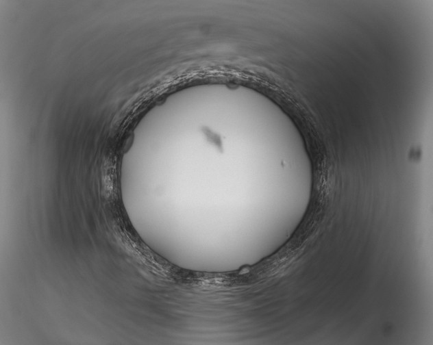 X0000115531490200911271333