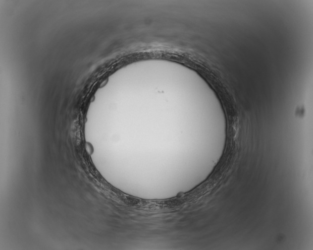 X0000115531493200911271333