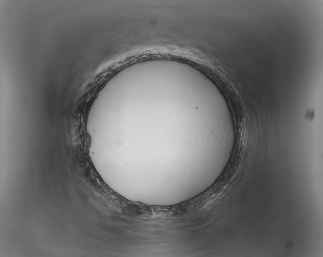 X0000115531494200911271333