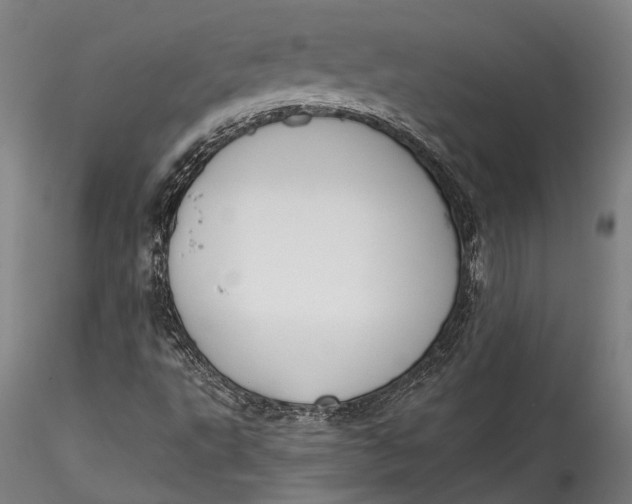 X0000115531495200911271333