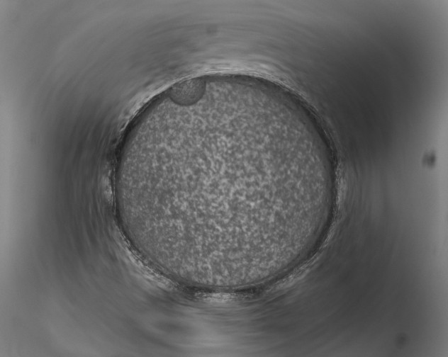 X0000115531497200911271333