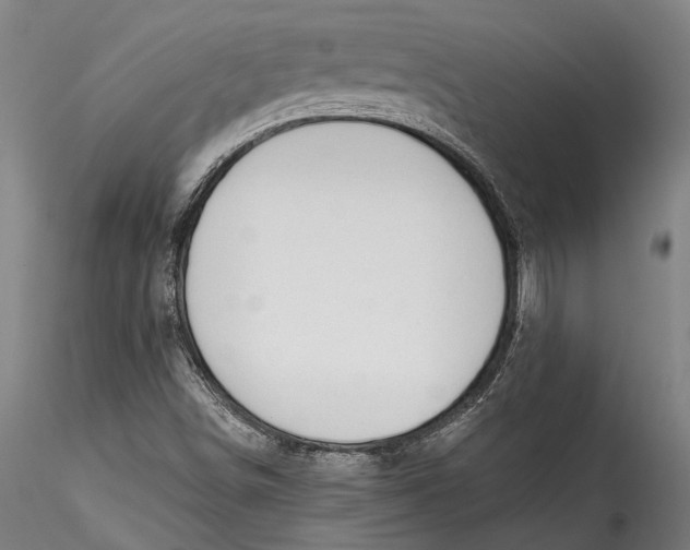 X0000115531498200911271333