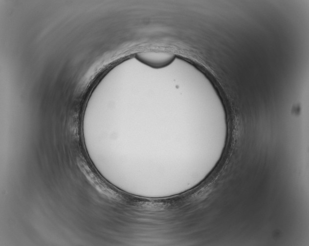 X0000115531499200911271333