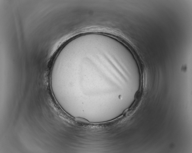 X0000115531501200911271333