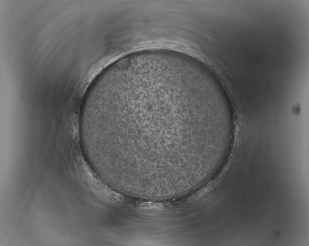 X0000115531505200911271333