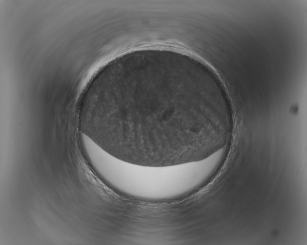 X0000115531506200911271333