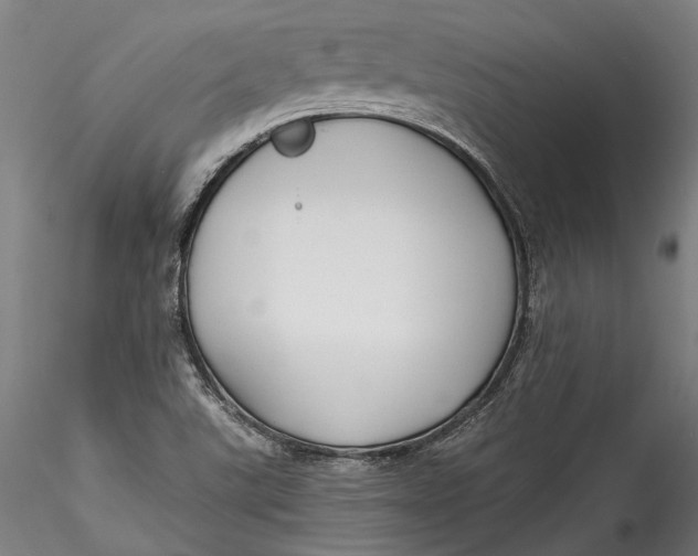 X0000115531507200911271333