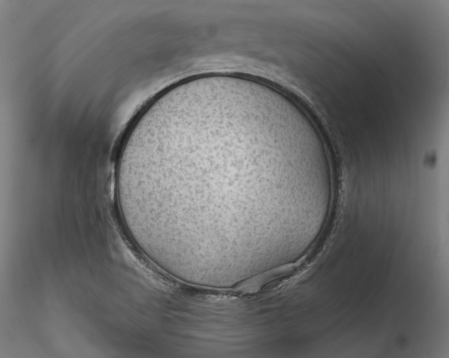 X0000115531509200911271334