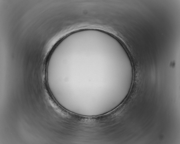 X0000115531511200911271334