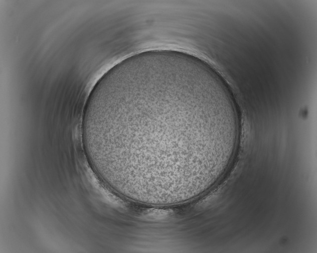 X0000115531513200911271334