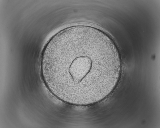 X0000115531514200911271334