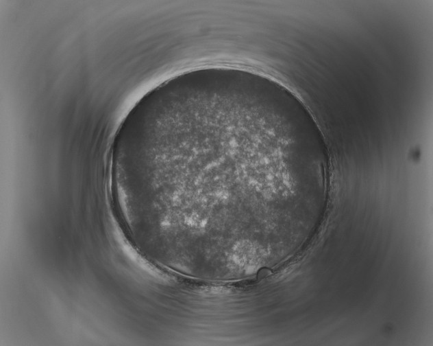 X0000115531515200911271334